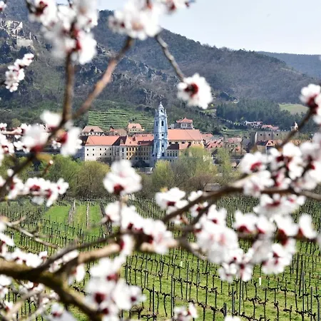 Smile Zur Gozzoburg * Krems an der Donau