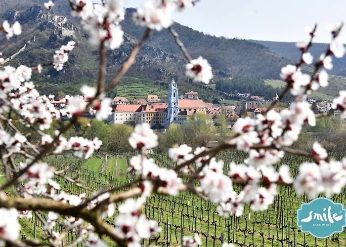 Smile Zur Gozzoburg * Krems an der Donau