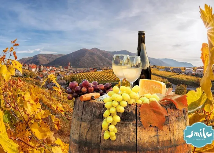 Smile Zur Gozzoburg Апартаменты *